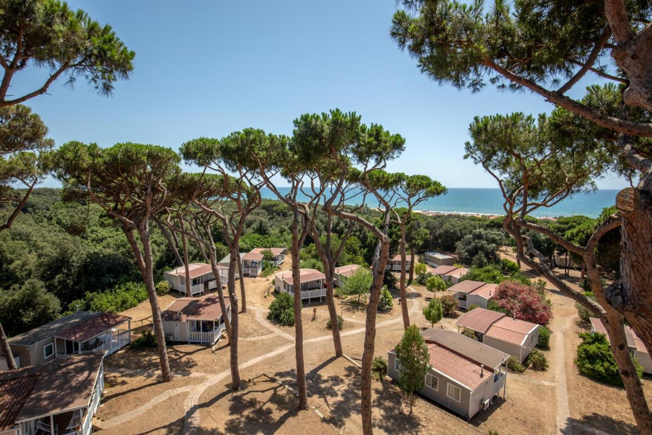 Parco Della Gallinara Lido dei Pini Luaran gambar